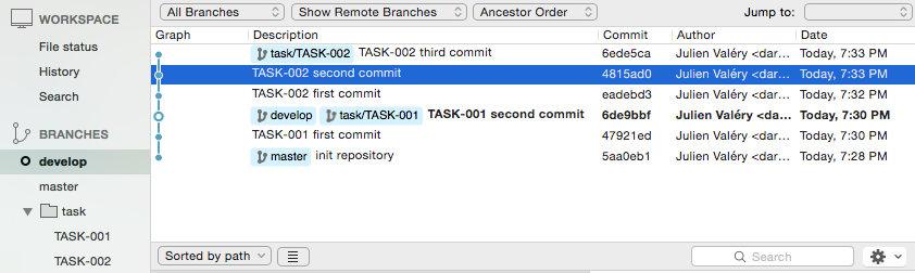 Git repository example with source tree